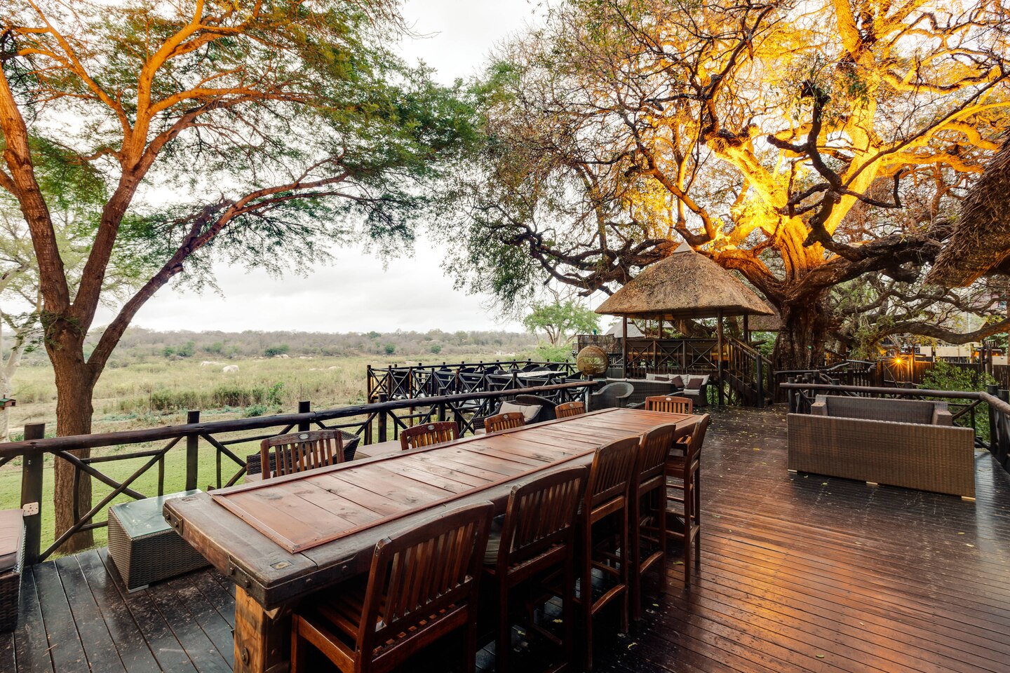 Kruger National Park Packages Now Available